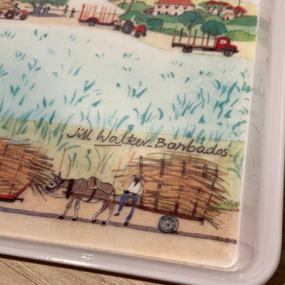 Melamine tray signed Jill Walker Barbados - Picture 3 of 11